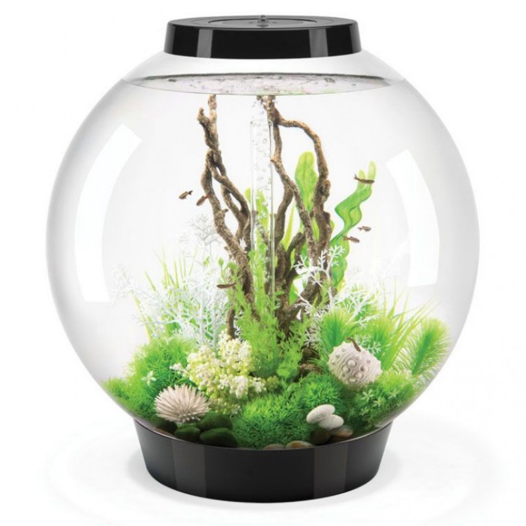 Аквариум biOrb Classic 30 LED Thermo черный