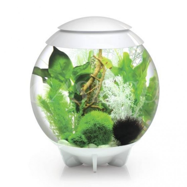 Аквариум biOrb HALO 30 Moonlight белый