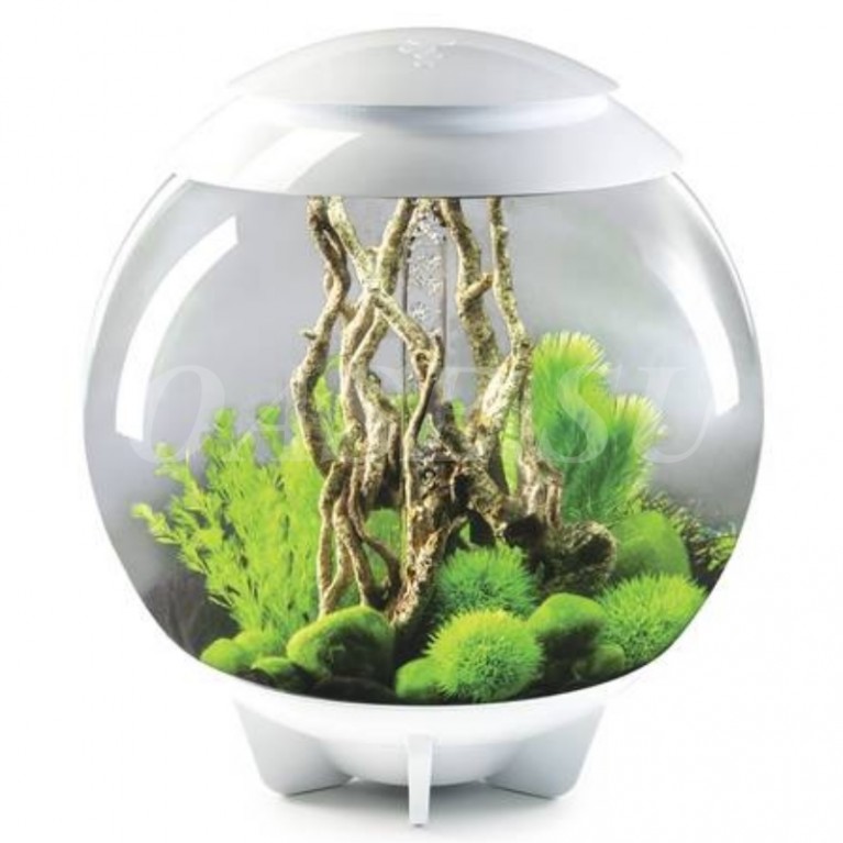 Аквариум biOrb HALO 60 Moonlight белый