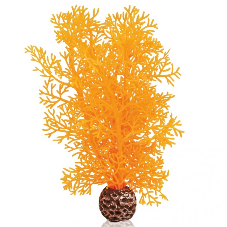 Оранжевый морской веер, малый, Sea fan small orange
