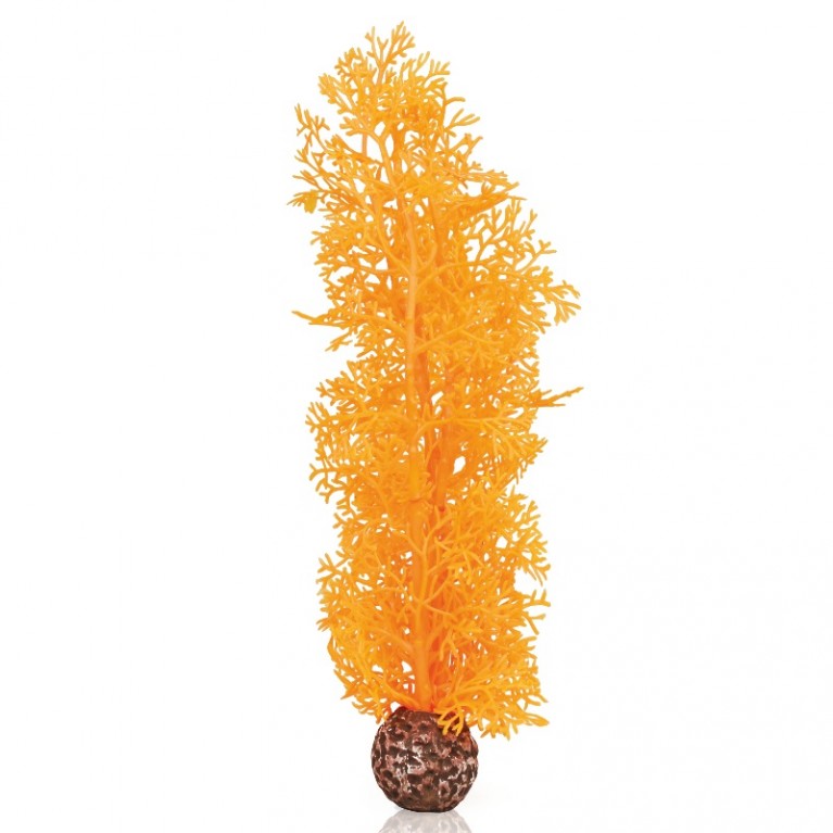 Оранжевый морской веер, средний, Sea fan medium orange
