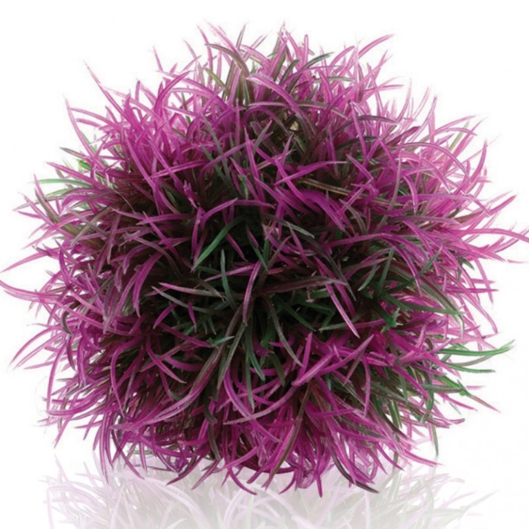 Фиолетовый водный шар, Aquatic colour ball purple