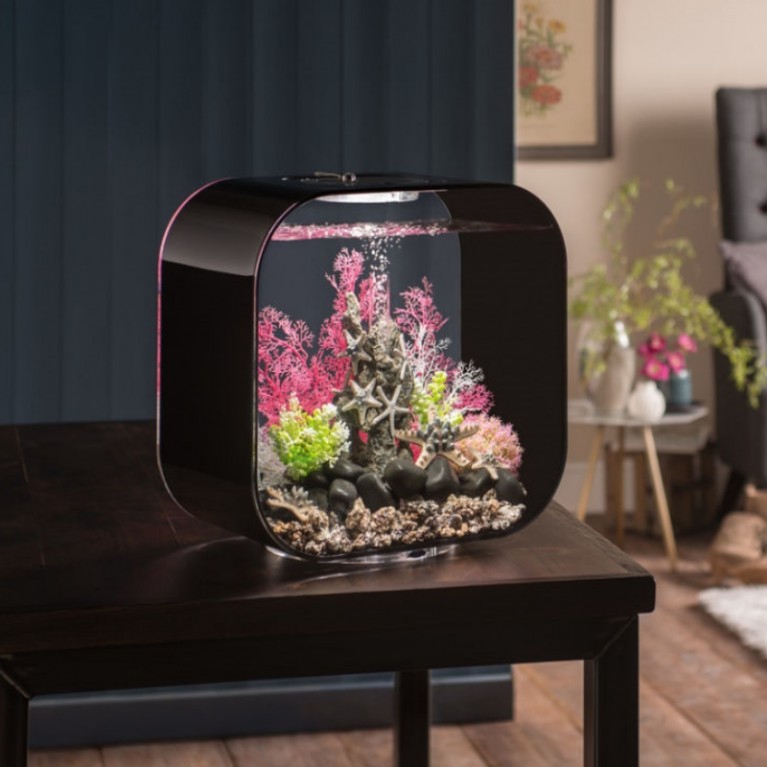 Розовый морской веер, малый, Sea fan small pink