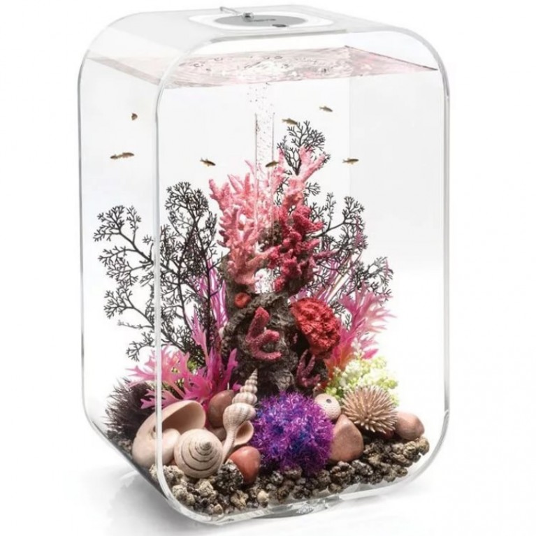 Фиолетовый цветочный шар, Flower ball purple