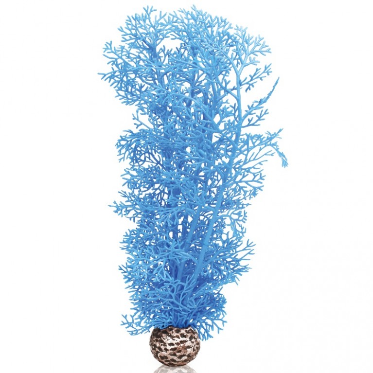 Синий морской веер, средний, Sea fan medium blue