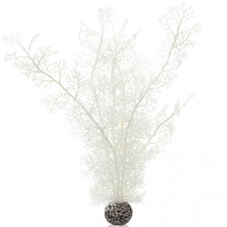 Белый морской веер, большой, Sea fan large white