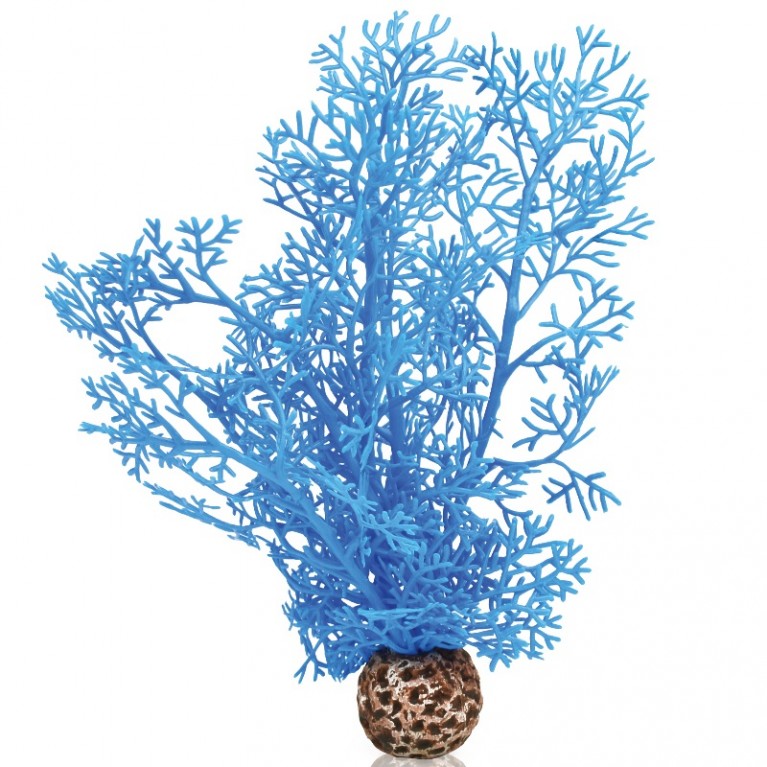 Синий морской веер, малый, Sea fan small blue
