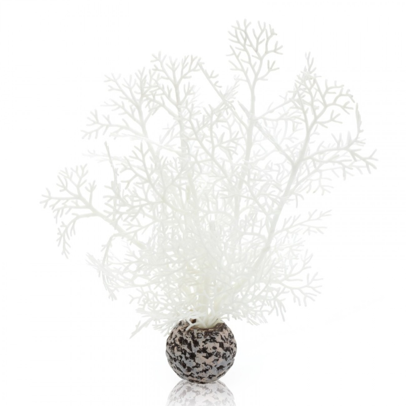 Белый морской веер, малый, Sea fan small white