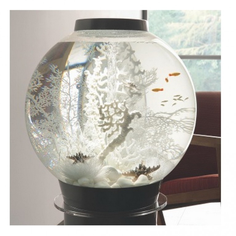 Белый морской веер, малый, Sea fan small white