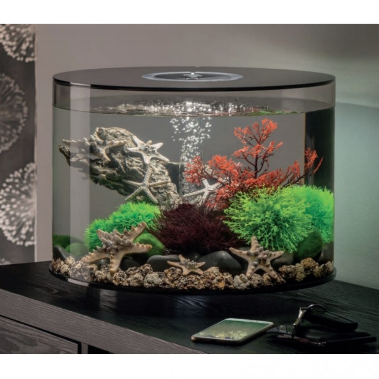 Зеленый цветочный шар, Flower ball green