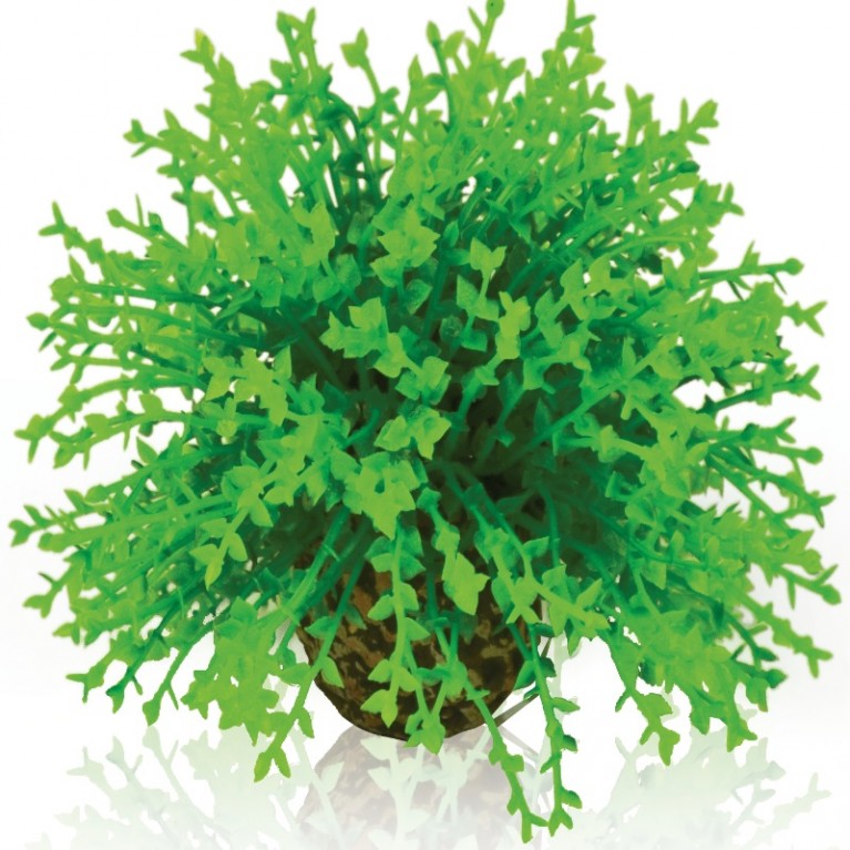 Зеленый цветочный шар, Flower ball green