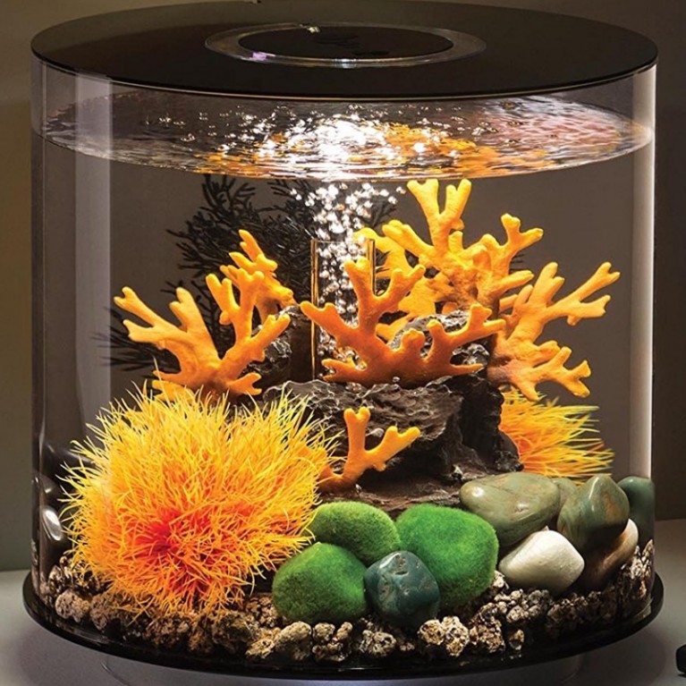 Оранжевый водный шар, Aquatic colour ball orange