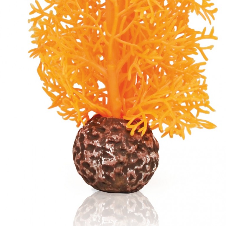 Оранжевый морской веер, средний, Sea fan medium orange