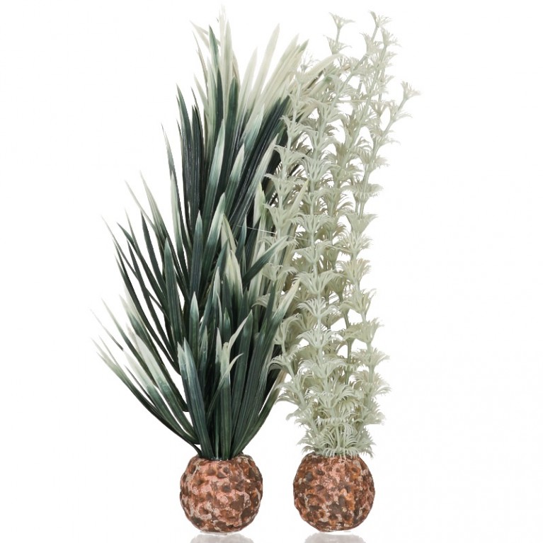 Набор, низкий 'Амбулия серая/зеленая', biOrb ambulia grey/green S