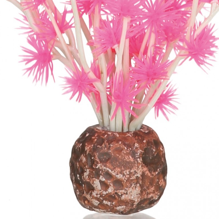 Бонсай, розовый, biOrb Bonsai ball pink