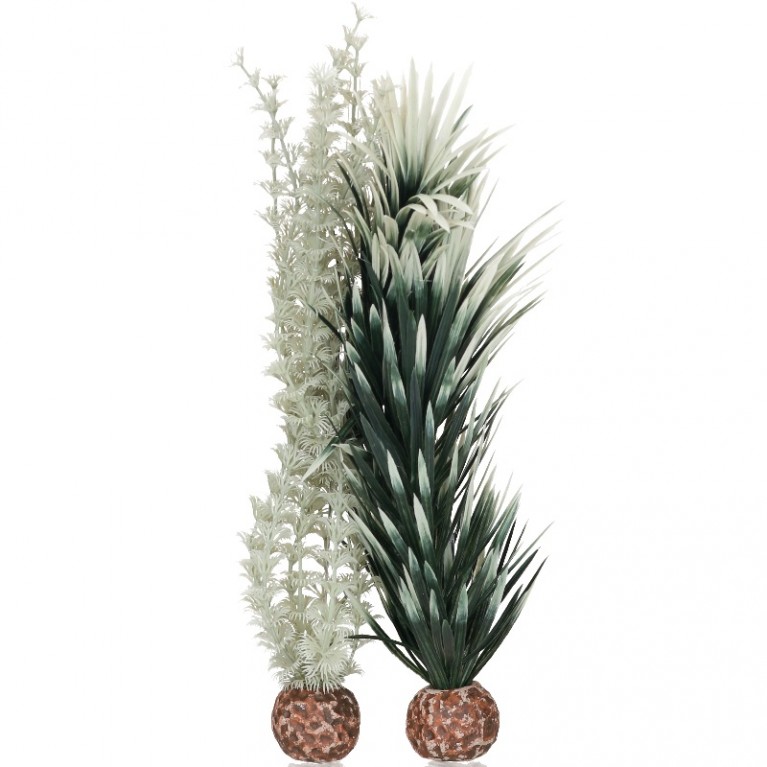 Набор, средний 'Амбулия серая/зеленая', biOrb ambulia grey/green М