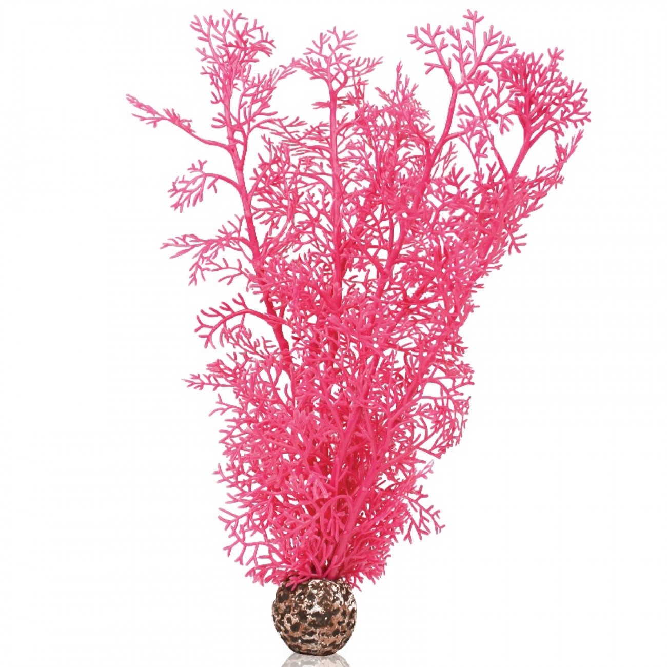 Розовый морской веер, средний, Sea fan medium pink