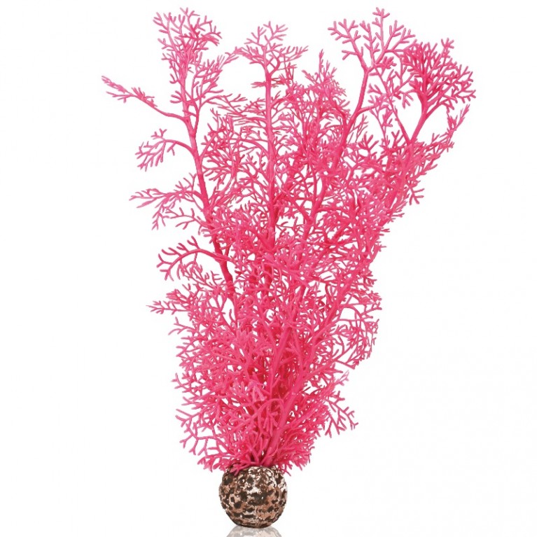 Розовый морской веер, средний, Sea fan medium pink