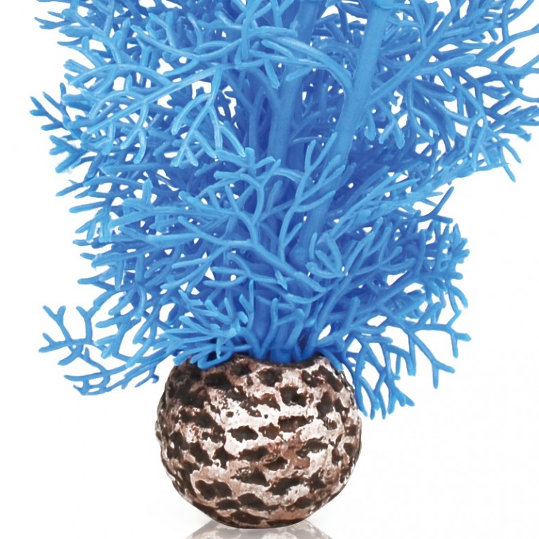 Синий морской веер, средний, Sea fan medium blue
