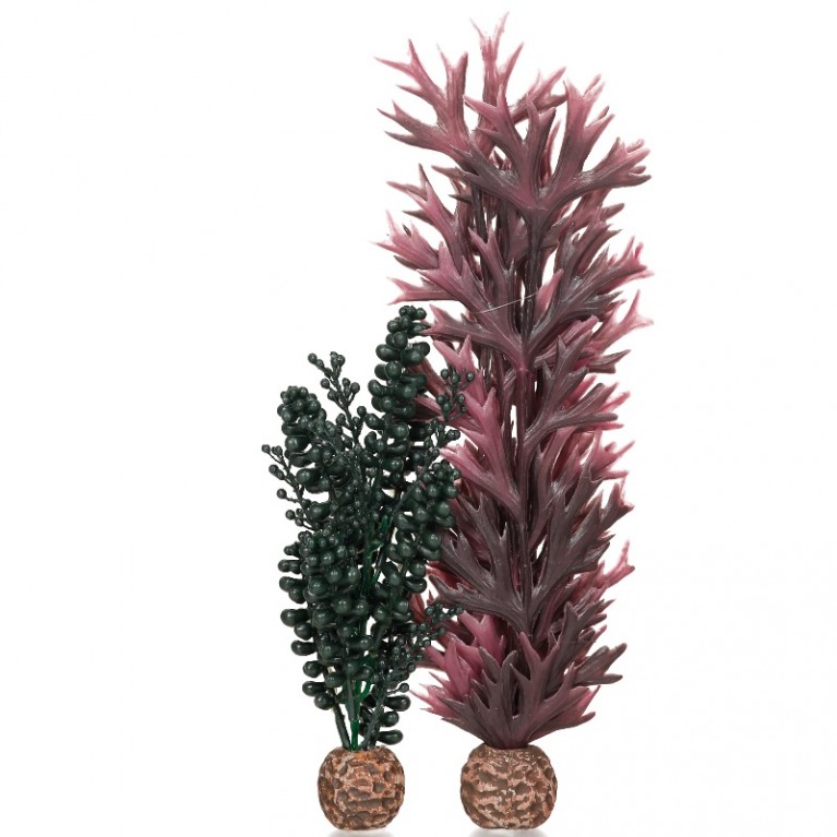 Набор декор. растений 'Морской бисер и темнозеленая ламинария','Seapearls & kelp dark green'