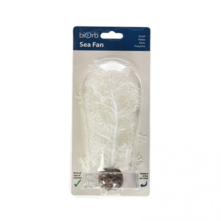 Белый морской веер, малый, Sea fan small white