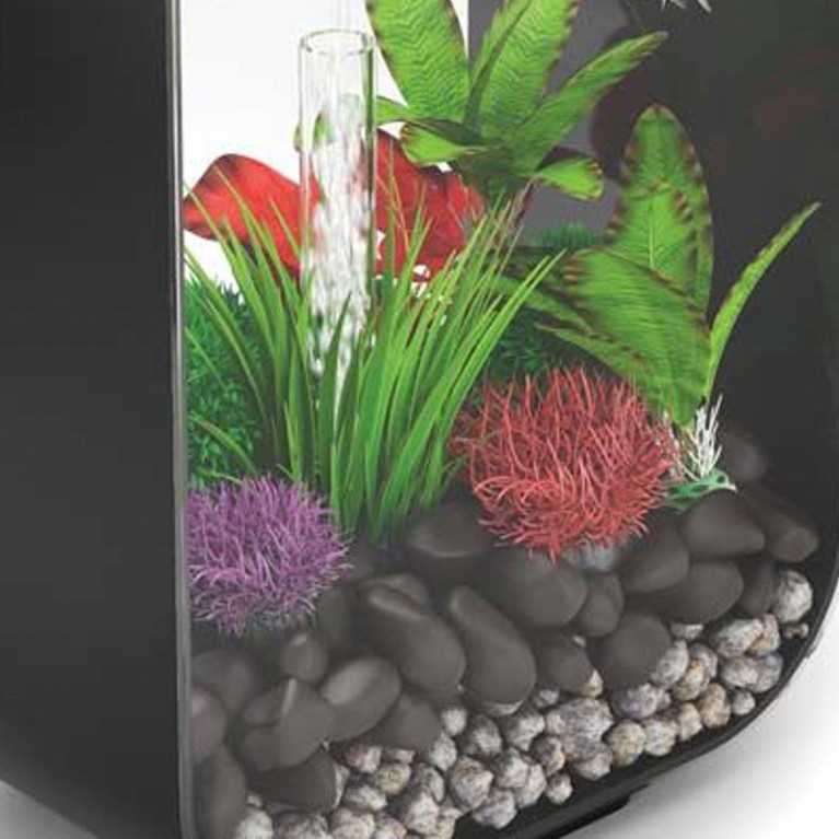Красный водный шар, Aquatic colour ball red