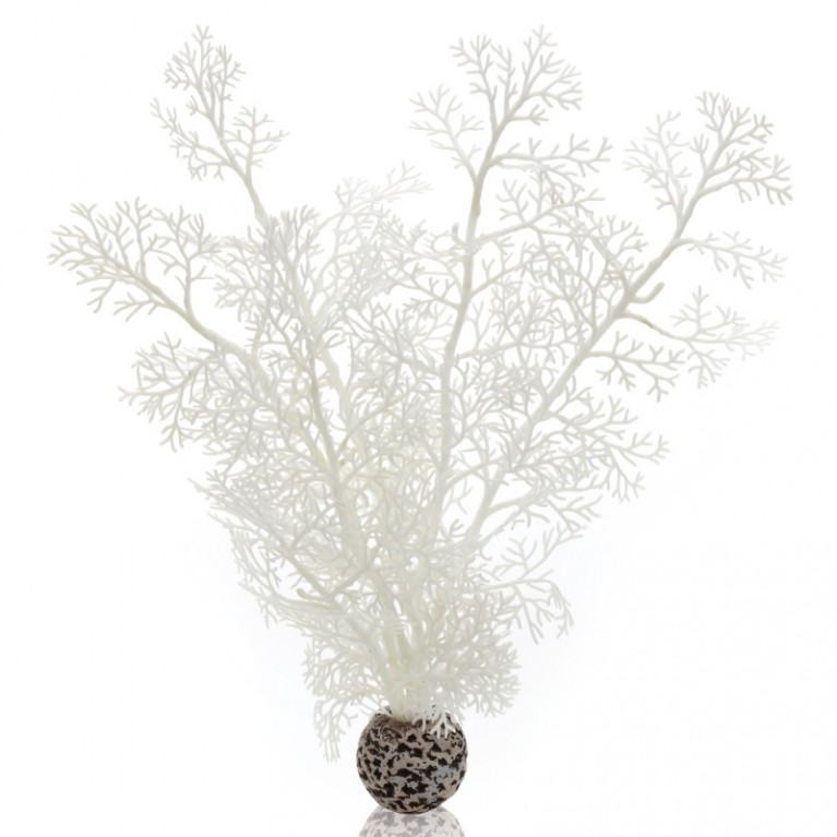 Белый морской веер, средний, Sea fan medium white