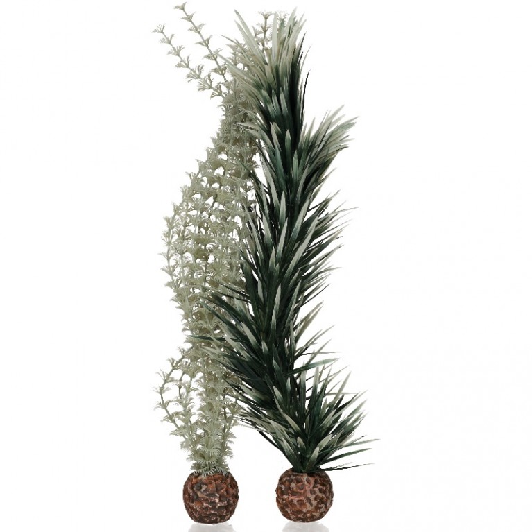 Набор, высокий 'Амбулия серая/зеленая', biOrb ambulia grey/green L