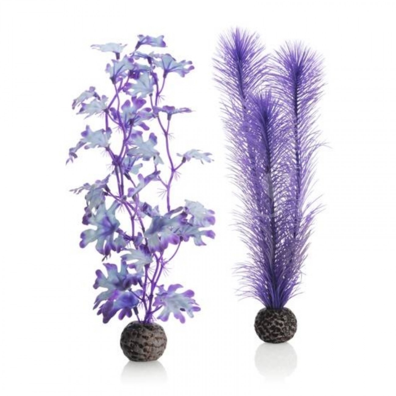 Набор 'Средняя фиолетовая ламинария',Kelp set medium purple