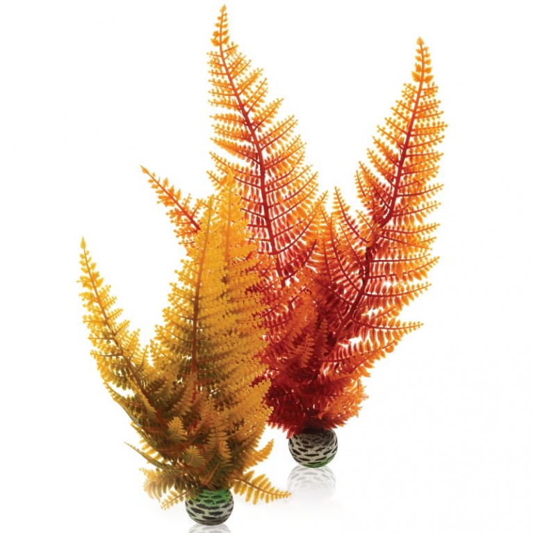 Набор декор. растений 'Осенний папоротник' Aquatic autumn fern set 2