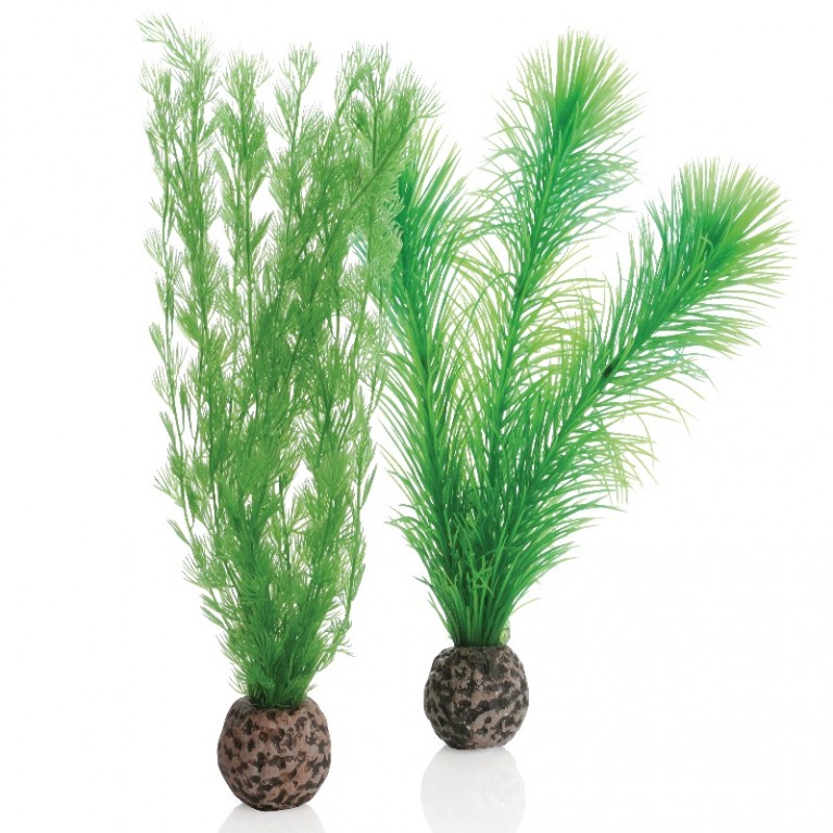 Набор декор. растений 'Feather fern set small green'