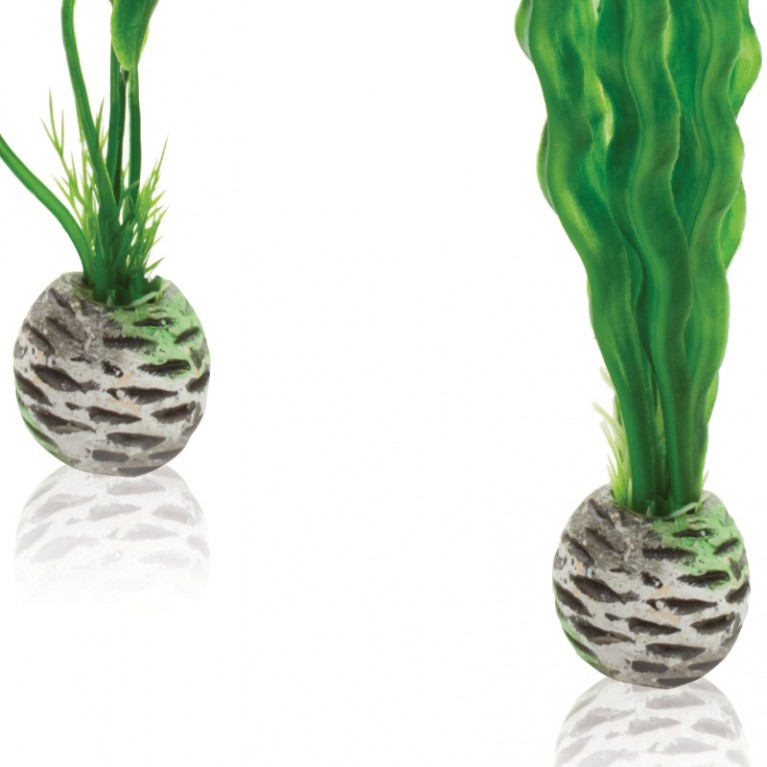 Набор 'Высокие, зеленые растения' Easy plant set tall green