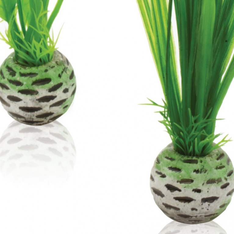 Набор 'Малые, зеленые растения' Easy plant set small green