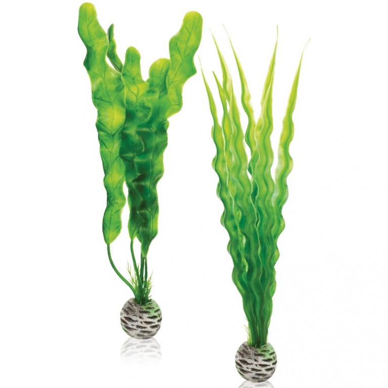 Набор 'Средние, зеленые растения' Easy plan set medium green