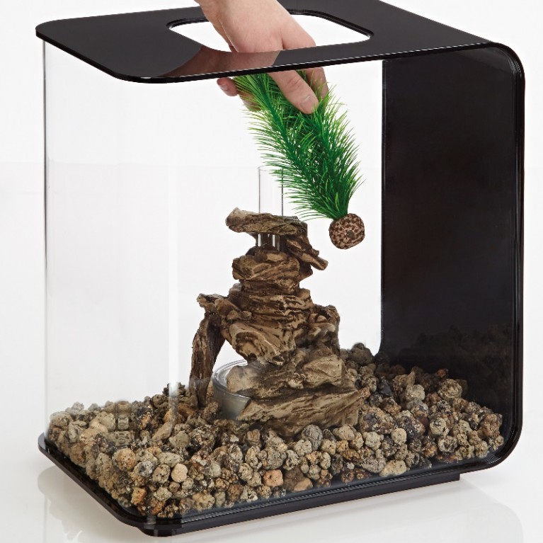 Набор декор. растений 'Feather fern set small green'