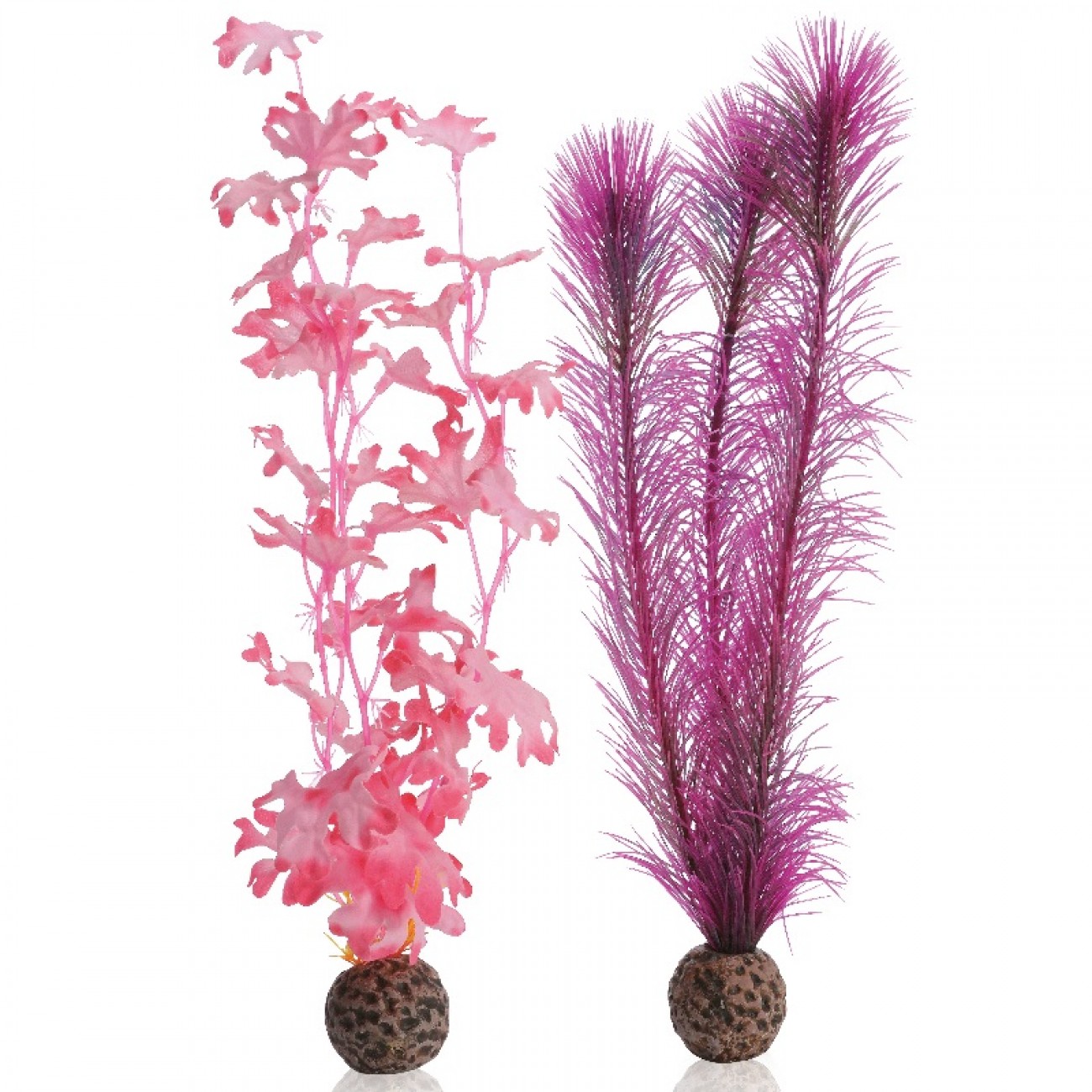 Набор 'Средняя розовая ламинария',Kelp set medium pink