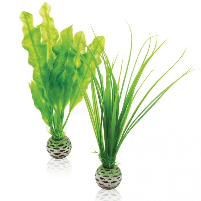 Набор 'Малые, зеленые растения' Easy plant set small green