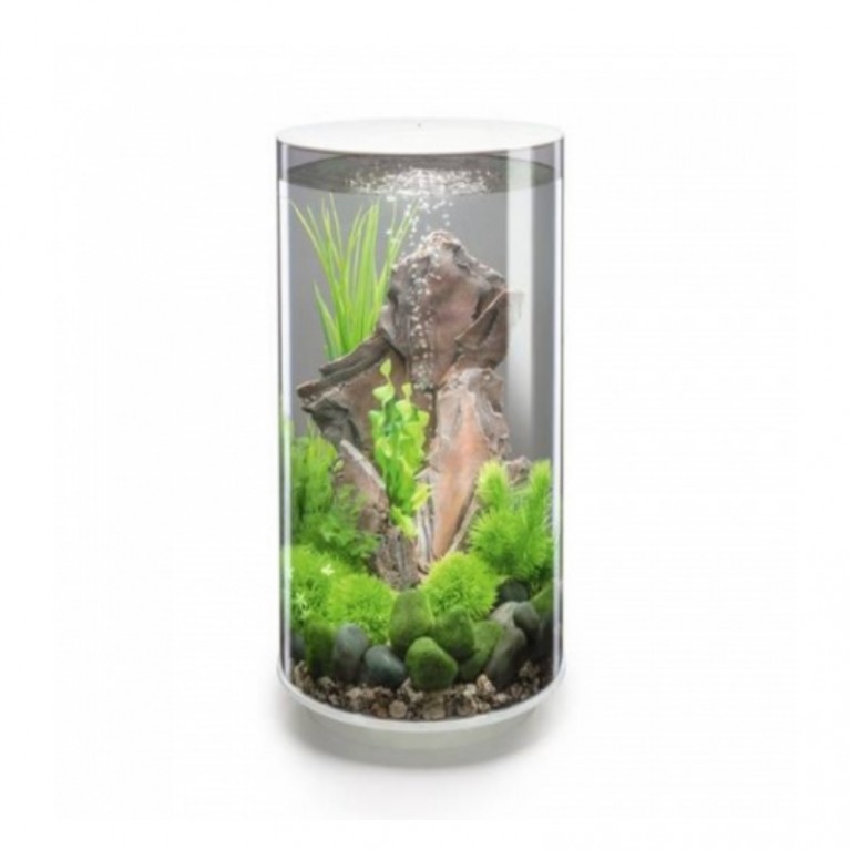 Набор декор. растений 'Feather fern set small green'