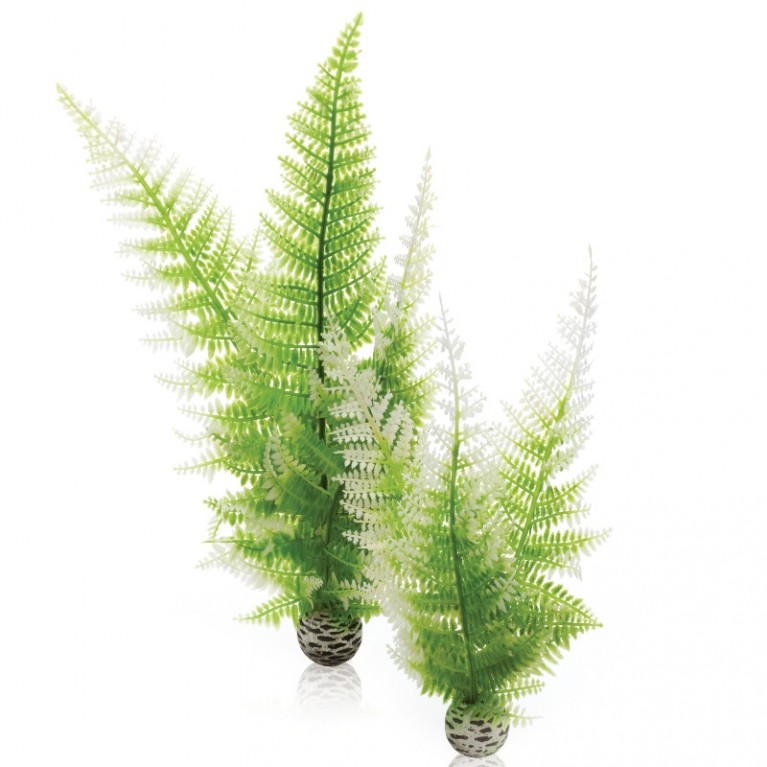 Набор декор. растений 'Зимний папоротник' Aquatic winter fern set 2