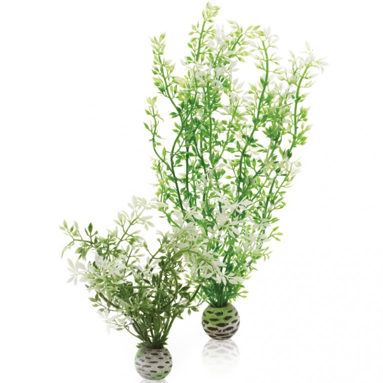 Набор декор. растений 'Зимний цветок' Aquatic winter flower set 2