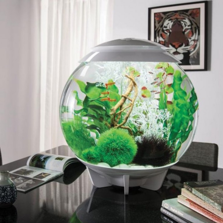 Набор 'Высокие, зеленые растения' Easy plant set tall green