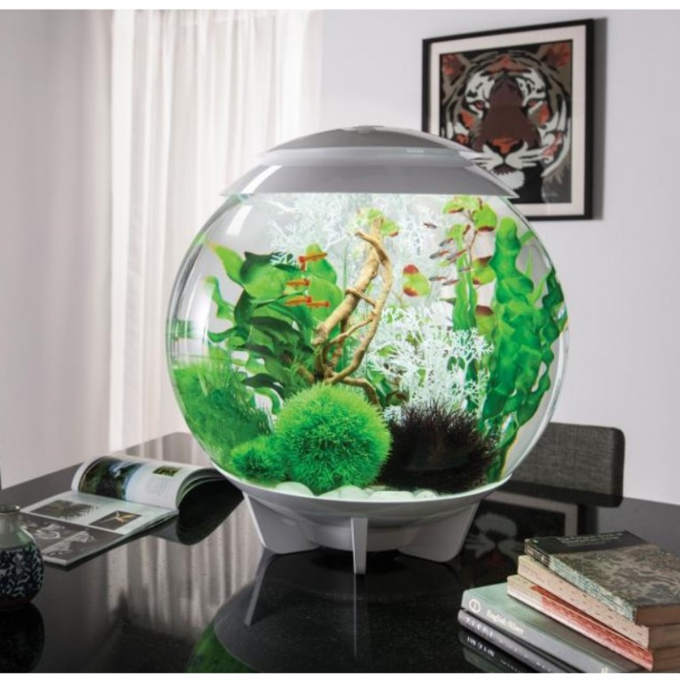 Набор 'Малые, зеленые растения' Easy plant set small green