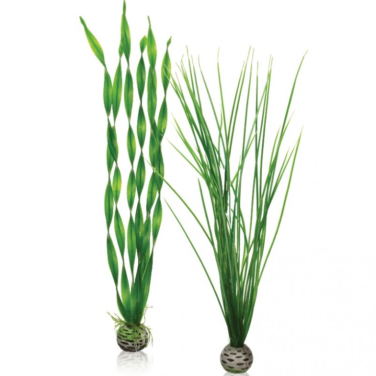 Набор 'Высокие, зеленые растения' Easy plant set tall green