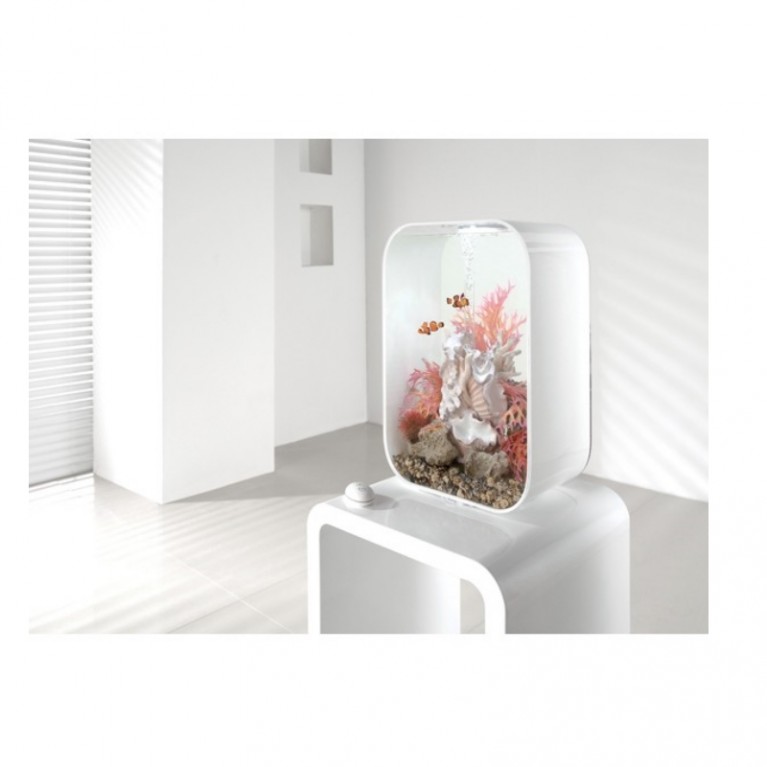 Орнамент из ракушек, большой Clamshell ornament large