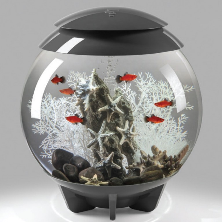 Декоративная фигура 'Камень с морскими звездами', Sea star rock ornament