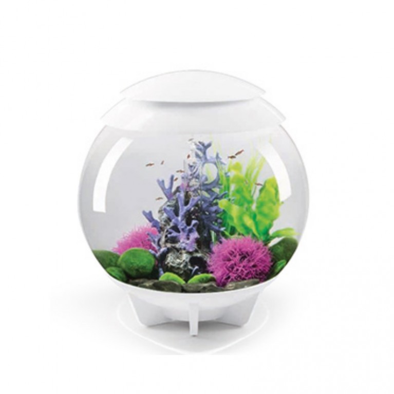 Орнамент 'Риф', фиолетовый, Reef ornament purple
