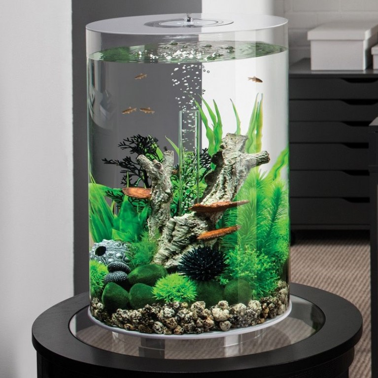 Декоративная фигура 'Гриб на бересте', fungus on bark ornament