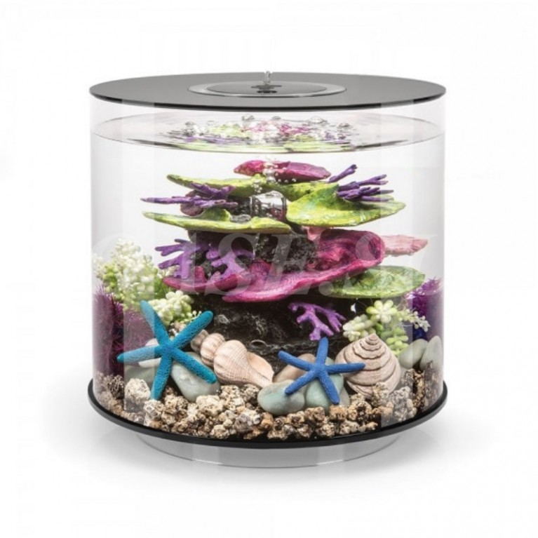 Декоративная фигура 'Коралловый гребень', coral ridge ornament green-purple