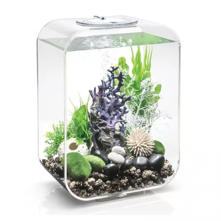 Орнамент 'Риф', фиолетовый, Reef ornament purple