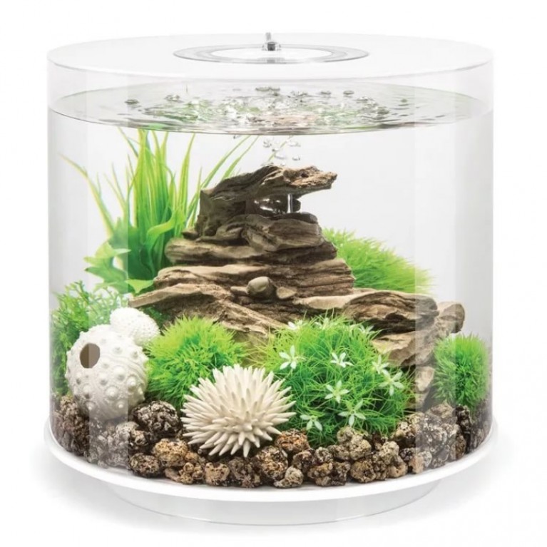 Набор декор. элементов 'Морской ёж', белый, sea urchins set white